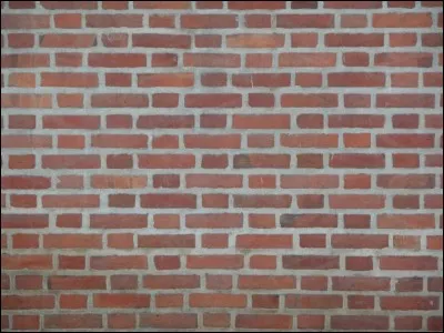 Allez-vous réussir à trouver le fruit à l'aide de cet homonyme ?