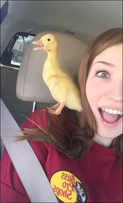 Trouvez le titre d'une série télévisée