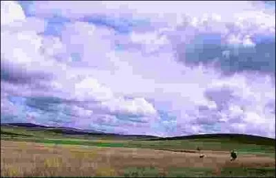 La Lozre est divis en 4 rgions naturelles, laquelle est la plus tendue ?