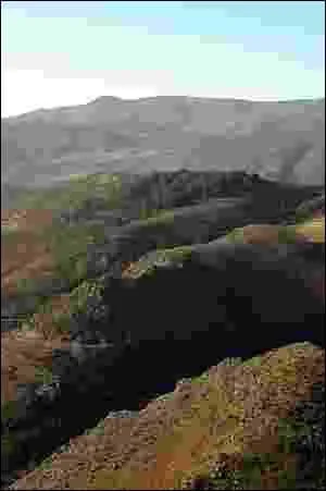 Quel cours d'eau prend sa source au Mont Aigoual, passe  Meyrueis et se jette dans le Tarn ?