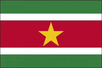 Que représente l'étoile jaune de ce beau drapeau ?