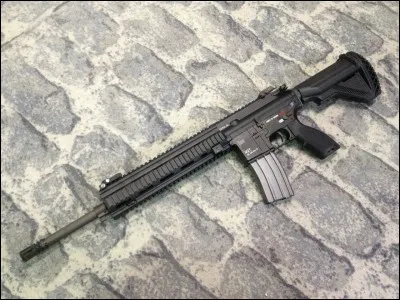 Fusil d'assaut quand même très populaire :