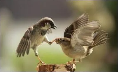 Quand on intime l'ordre à une personne de se taire que ne lui dit-on pas ?