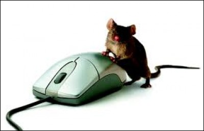 Allez, on actionne son doigt sur la souris, à droite ou à gauche !