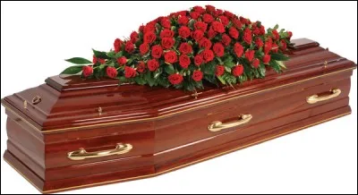 "Aussi loin que je me souvienne, j'ai toujours rêvé d'être un gangster" ; réplique de Ray Liotta dans le film :