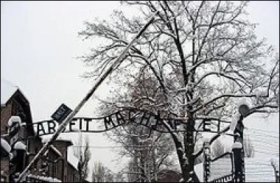 On peut voir "Arbeit macht frei" ("Le travail rend libre") sur les camps de concentration.