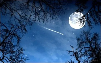 Vous les jeunes qui avez la tête dans les étoiles et aimeriez devenir astronomes , quelle grande école prestigieuse française devez.vous intégrer ?