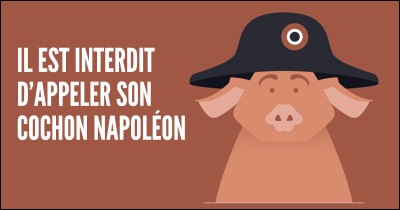 En France une loi interdit d'appeler son cochon Napoléon !