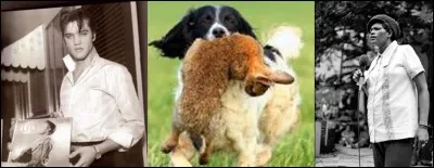 Par son attitude, Aaron (dit « the pelvis », le bassin) choqua une grande partie de la population US avec la reprise d'une chanson de Big Mama Thornton. Bien sûr, Aaron n'est pas son 1e prénom.
Quelle est cette chanson et quel est le chanteur ?