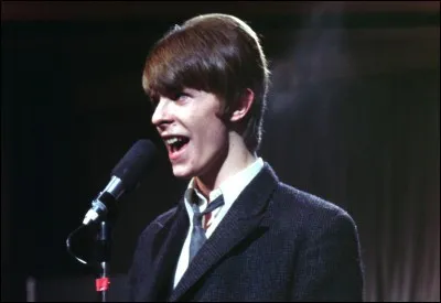 David Bowie nous a également quitté en janvier 2016, deux jours seulement après la sortie de son dernier album, Blackstar. Son plus grand succès s'appelait