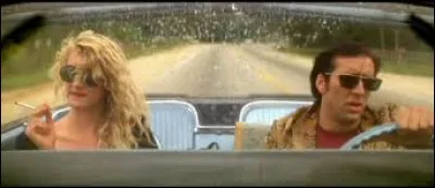 Qui a réalisé ce film ?