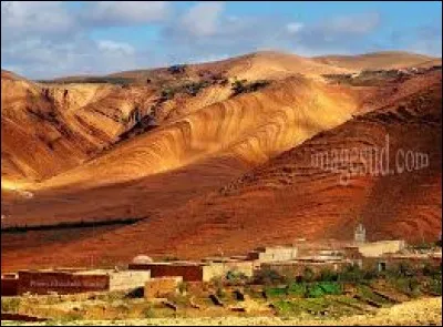 Qui est le chef du gouvernement ? (2017)