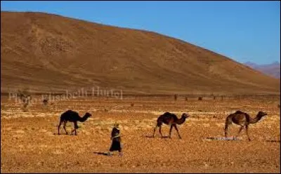 Qu'en est-il d'un point de vue économique ?