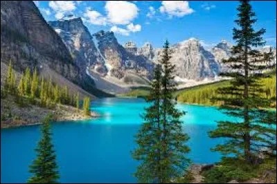 Laquelle de ces organisations régionales est la plus importante d'Amérique du Sud ?