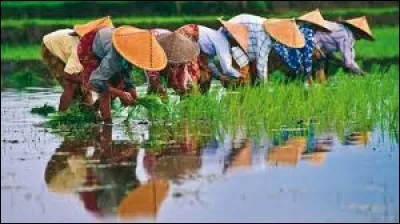 Lequel de ces États avait le Vietnam comme colonie ?