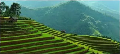 Quel pays borde le Vietnam au nord ?