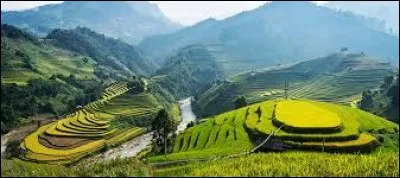 Quelle est la devise du Vietnam ?