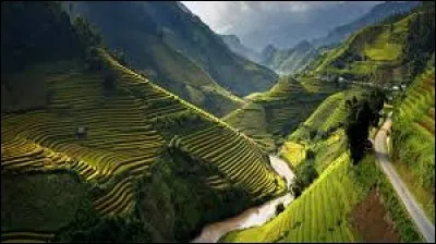 Qu'en est-il de l'hymne national du Vietnam ?