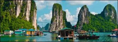 Quelle est la langue officielle du Vietnam ?