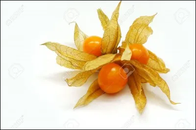 Quel est ce fruit ?