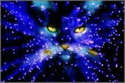 Où vont les guerriers qui ne rejoignent pas le Clan des Étoiles ?