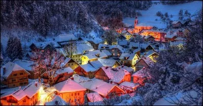 Les oignons deviennent gros ...