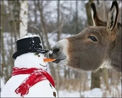 A la Saint-Blaise ...