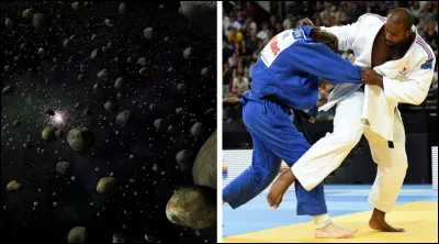 Ceinture d'astéroïdes - Au judo, quelle ceinture vient juste après la bleue ?