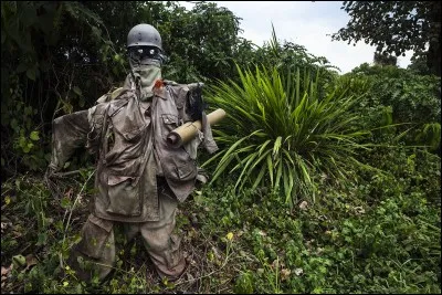 Bamako est la capitale du Congo.