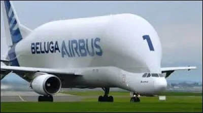Combien Airbus possède-t-il d'appareils Airbus Beluga ?