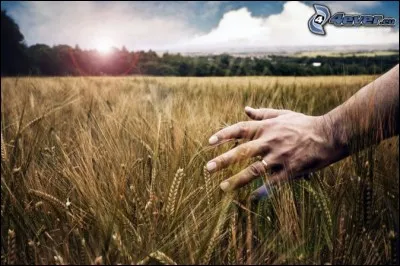 Il est doué pour l'imposition des mains.