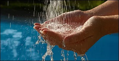 Elle a toute la journée les mains dans le liquide.
