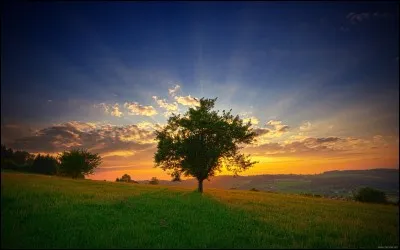 Pour mettre la main au panier.