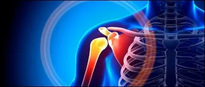 Mouvement par lequel un membre ou un segment de membre s'écarte sur le côté :