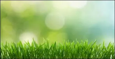 Le vert fait partie des couleurs primaires.