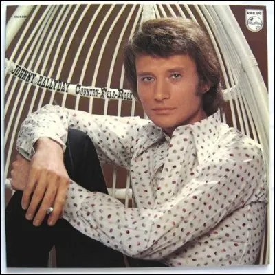 Où Johnny Hallyday ne mettrait-il pas sa main ?