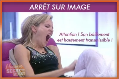 Tous les mammif&egrave;res b&acirc;illent, sauf un !