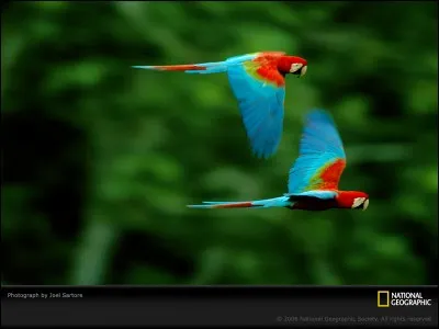 A quelle chanson pensez-vous ?