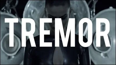 Quels titres ons était composée par Martin Garrix?