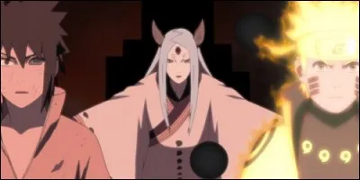 Dans "Naruto Shippûden", contre qui se battent finalement Naruto et Sasuke durant la guerre ?