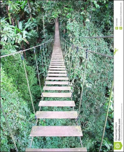 Comment appelle-t-on aussi un pont de corde ?