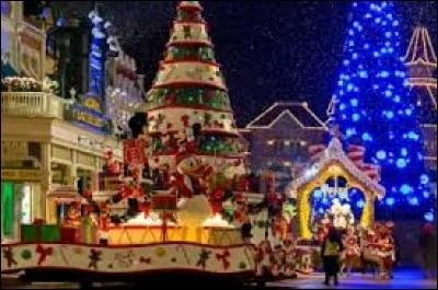 Que trouve-t-on autour du lac Disney ?