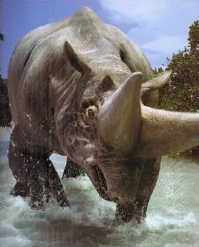 L'Arsinoitherium est un animal d'Avatar.