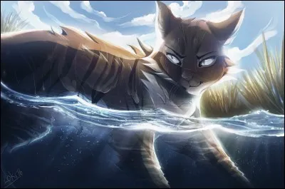 Qui Plume de Faucon tue-t-il dans le tome 4 ?