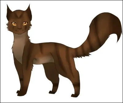 De qui Nuage de Feuille tombe-t-elle amoureuse ?