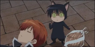 Dans "Rinne", comment s'appelle le chat noir du protagoniste ?