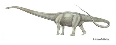 Le Mamenchisaure est visible dans...