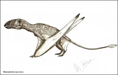 Le Dimorphodon est visible dans...