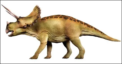 Le Tricératops est visible dans...