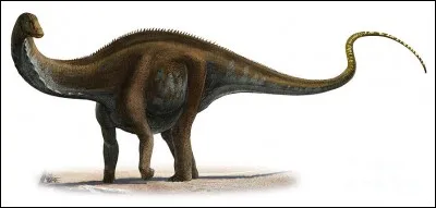 L'Apatosaure (Brontosaure) est visible dans...